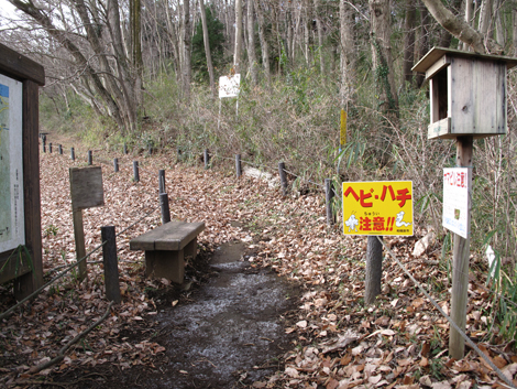 20161229hike (24)